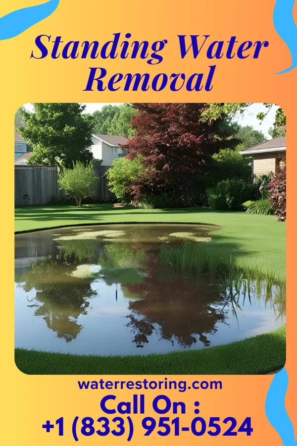 Standing Water Removal in Noma, FL